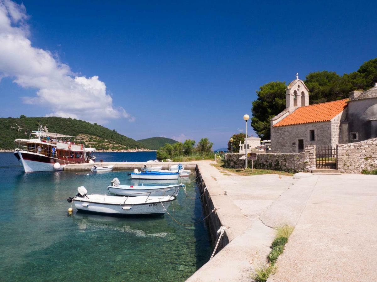 Holiday House Mareta, Sea View Dragove Exterior photo